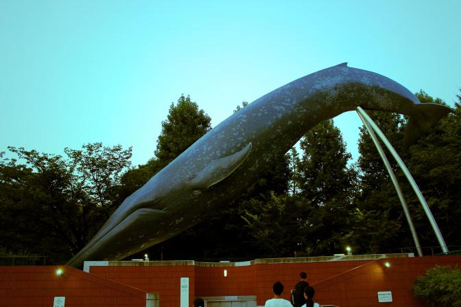 Whale statue Ueno Park Tokyo