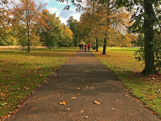 Hyde Park Afternoon Walk